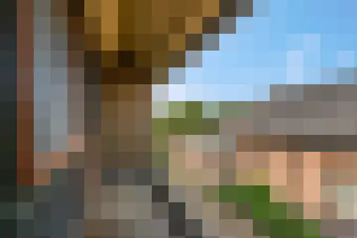 Verbindingsweg 23 Elst Ut thumbnail 14