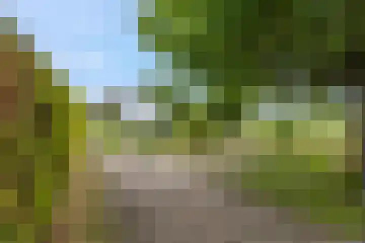 Verbindingsweg 23 Elst Ut thumbnail 16