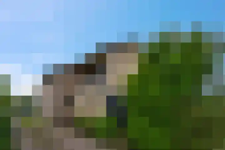 Verbindingsweg 23 Elst Ut foto 2