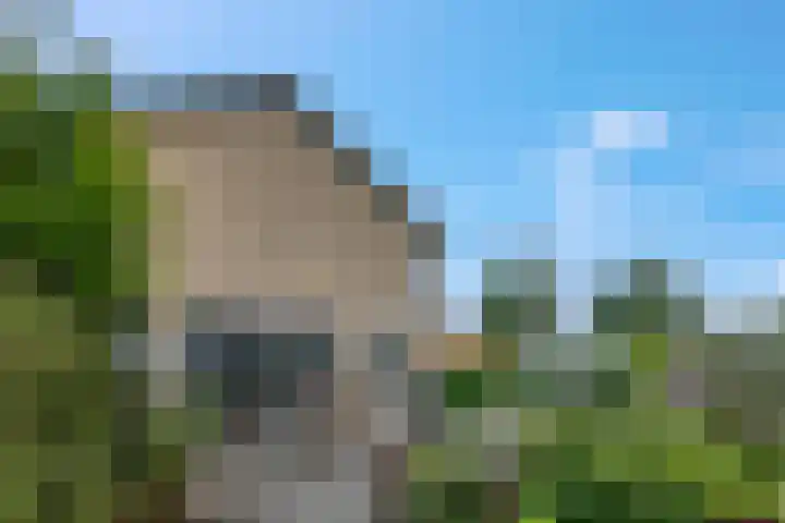 Verbindingsweg 23 Elst Ut thumbnail 20