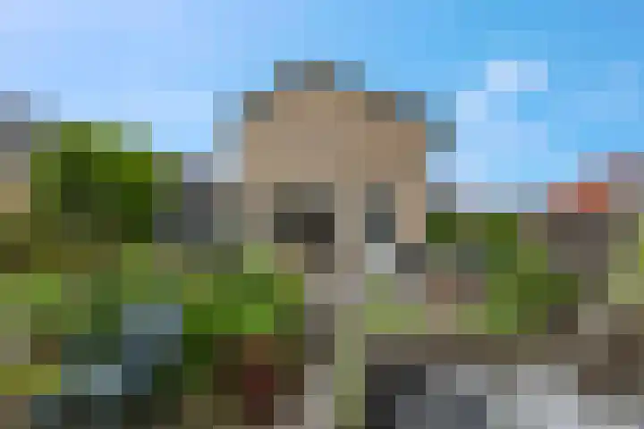 Verbindingsweg 23 Elst Ut thumbnail 21