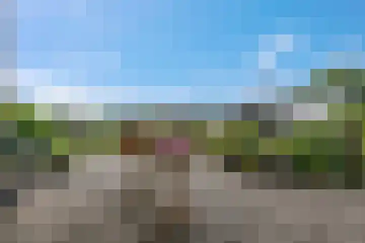 Verbindingsweg 23 Elst Ut foto 3