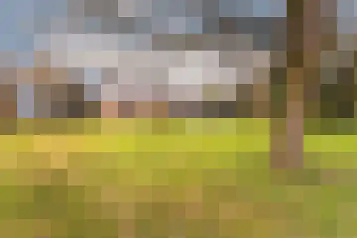 Verbindingsweg 7 dans Zeeland