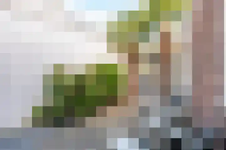 Verbindingsweg 8 Baarn thumbnail 15