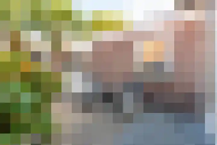 Verbindingsweg 8 Baarn thumbnail 16