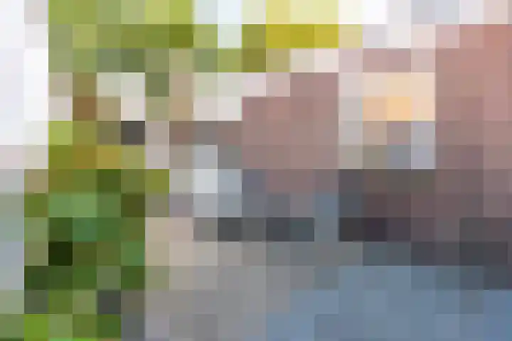 Verbindingsweg 8 Baarn thumbnail 4