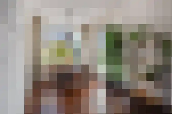 Verbindingsweg 8 Baarn thumbnail 8
