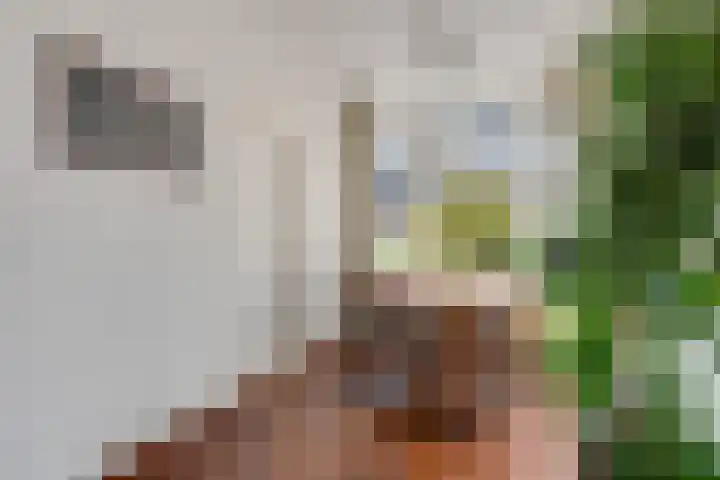 Verbindingsweg 8 Baarn thumbnail 9