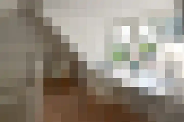 Verdilaan 5 Huizen thumbnail 18