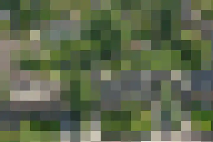 Verdilaan 5 Huizen thumbnail 6