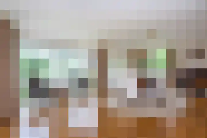 Verdilaan 9 Dirksland thumbnail 12