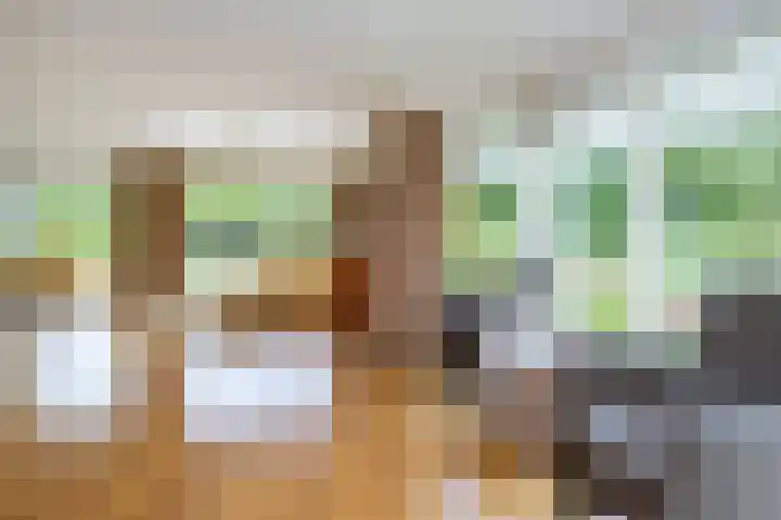Verdilaan 9 Dirksland thumbnail 13