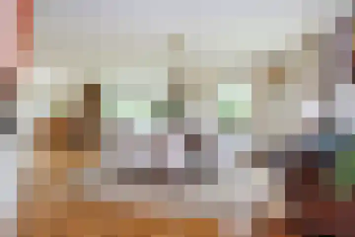 Verdilaan 9 Dirksland thumbnail 14