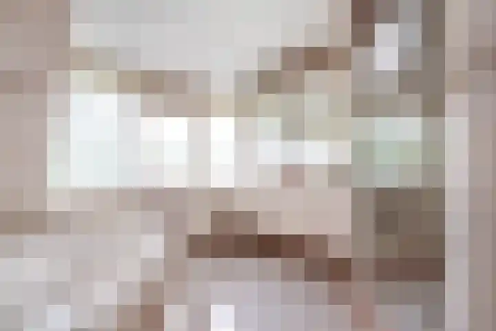 Verdilaan 9 Dirksland thumbnail 26