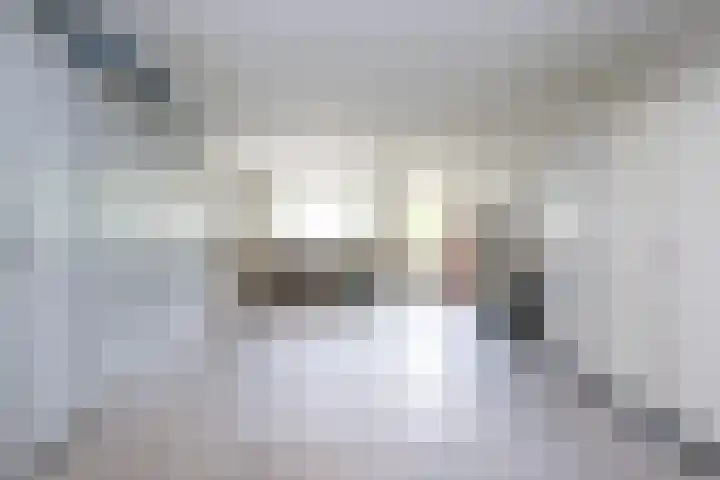 Verdilaan 9 Dirksland thumbnail 31