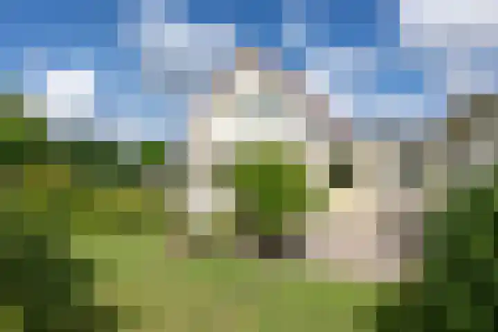 Verdilaan 9 Dirksland thumbnail 33