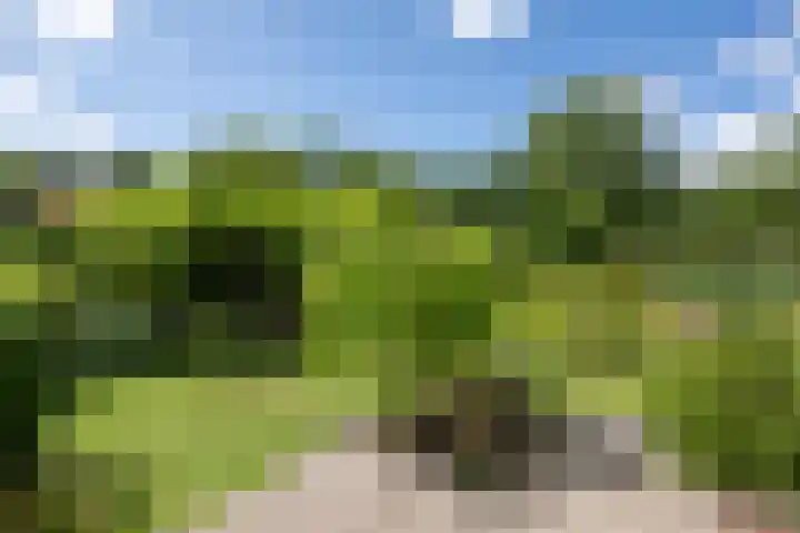 Verdilaan 9 Dirksland thumbnail 35
