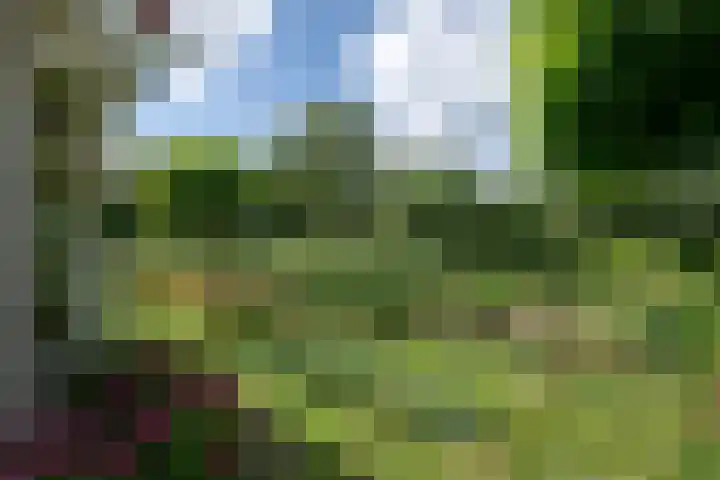 Verdilaan 9 Dirksland thumbnail 36