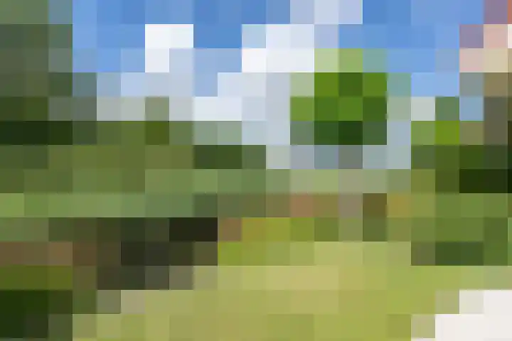 Verdilaan 9 Dirksland thumbnail 37