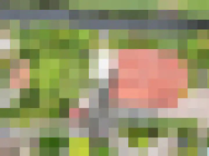 Verdilaan 9 Dirksland thumbnail 39