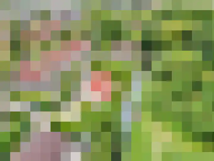 Verdilaan 9 Dirksland thumbnail 5