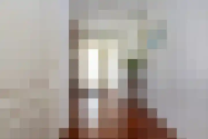 Verdilaan 9 Dirksland thumbnail 7