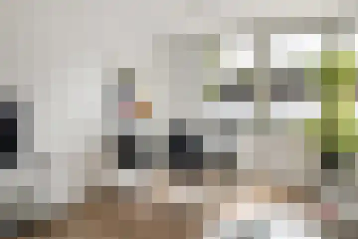 Verdiplein 79 a Tilburg thumbnail 17