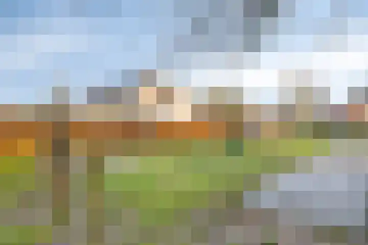 Verdiplein 79 a Tilburg thumbnail 36