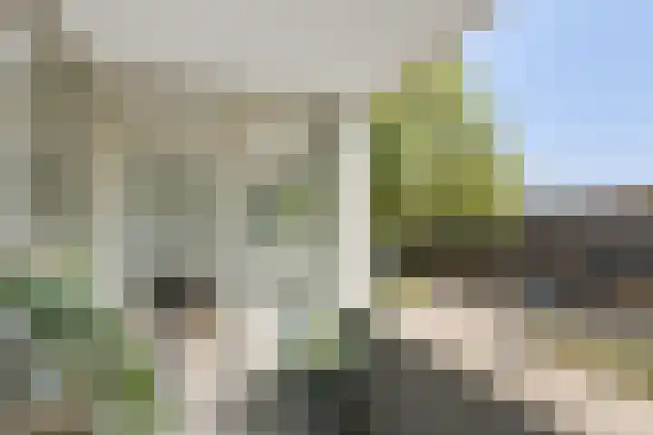 Verdiplein 79 a Tilburg thumbnail 38