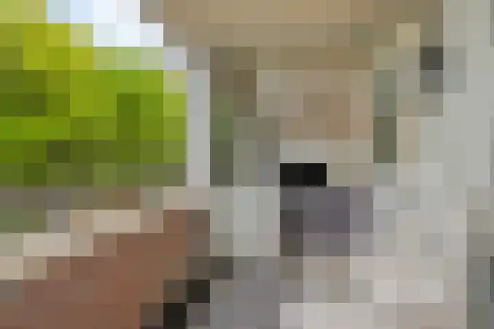 Verdiplein 80 b Tilburg thumbnail 32