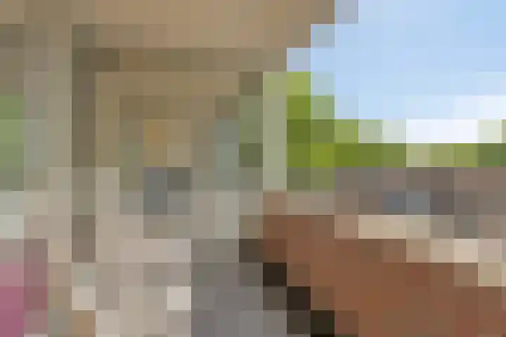 Verdiplein 80 b Tilburg thumbnail 4