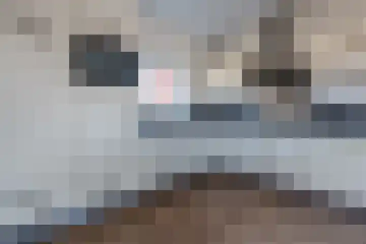 Verdistraat 20 Assen thumbnail 17