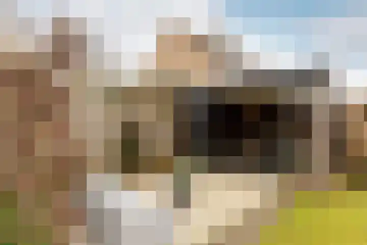 Verdistraat 24 Drunen thumbnail 30