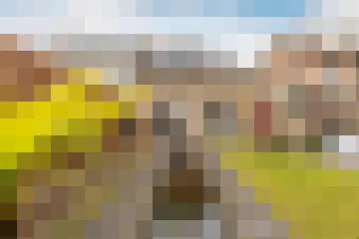 Verdistraat 24 Drunen thumbnail 34