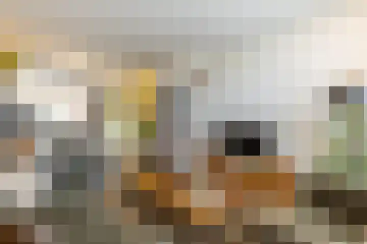 Verdistraat 24 Drunen thumbnail 4