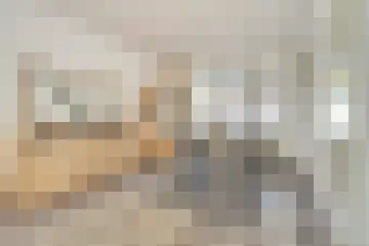 Verdistraat 3 Dongen thumbnail 9