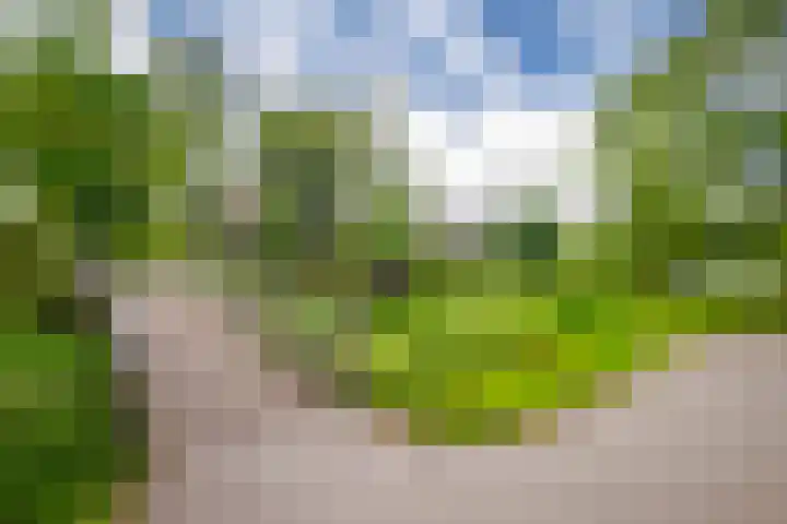 Verenwei 41 Arnhem thumbnail 31