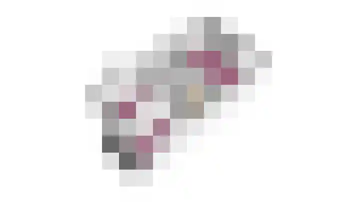 Verenwei 41 Arnhem thumbnail 37