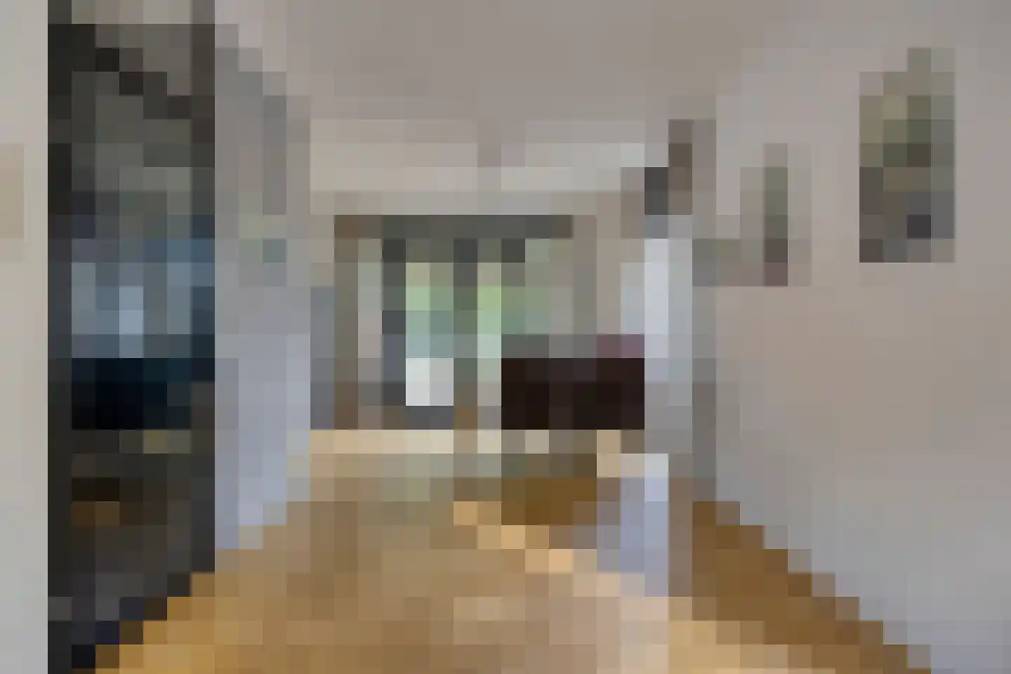 Vergezicht 10 Elst thumbnail 14