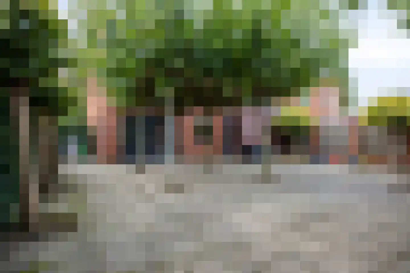 Vergezicht 10 Elst thumbnail 24