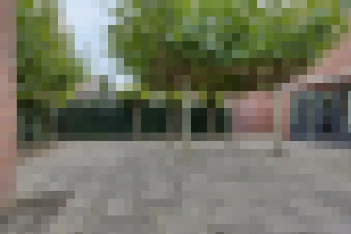 Vergezicht 10 Elst thumbnail 26