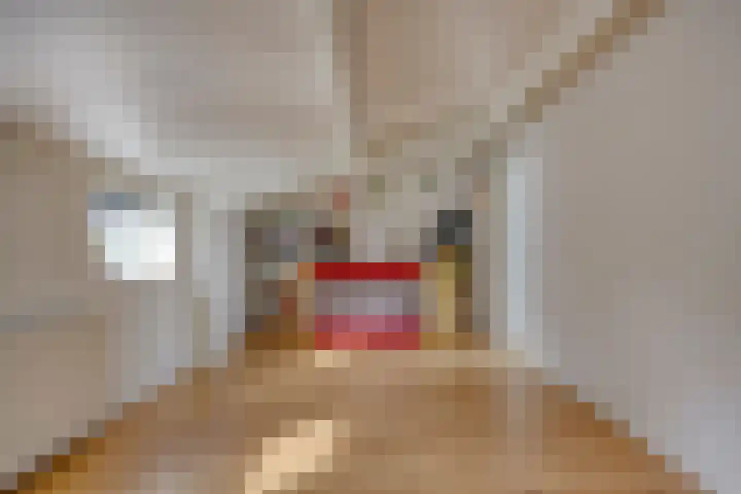 Vergezicht 10 Elst thumbnail 42