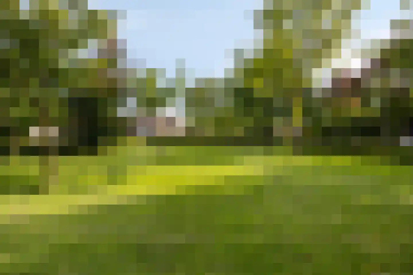 Vergezicht 10 Elst thumbnail 50
