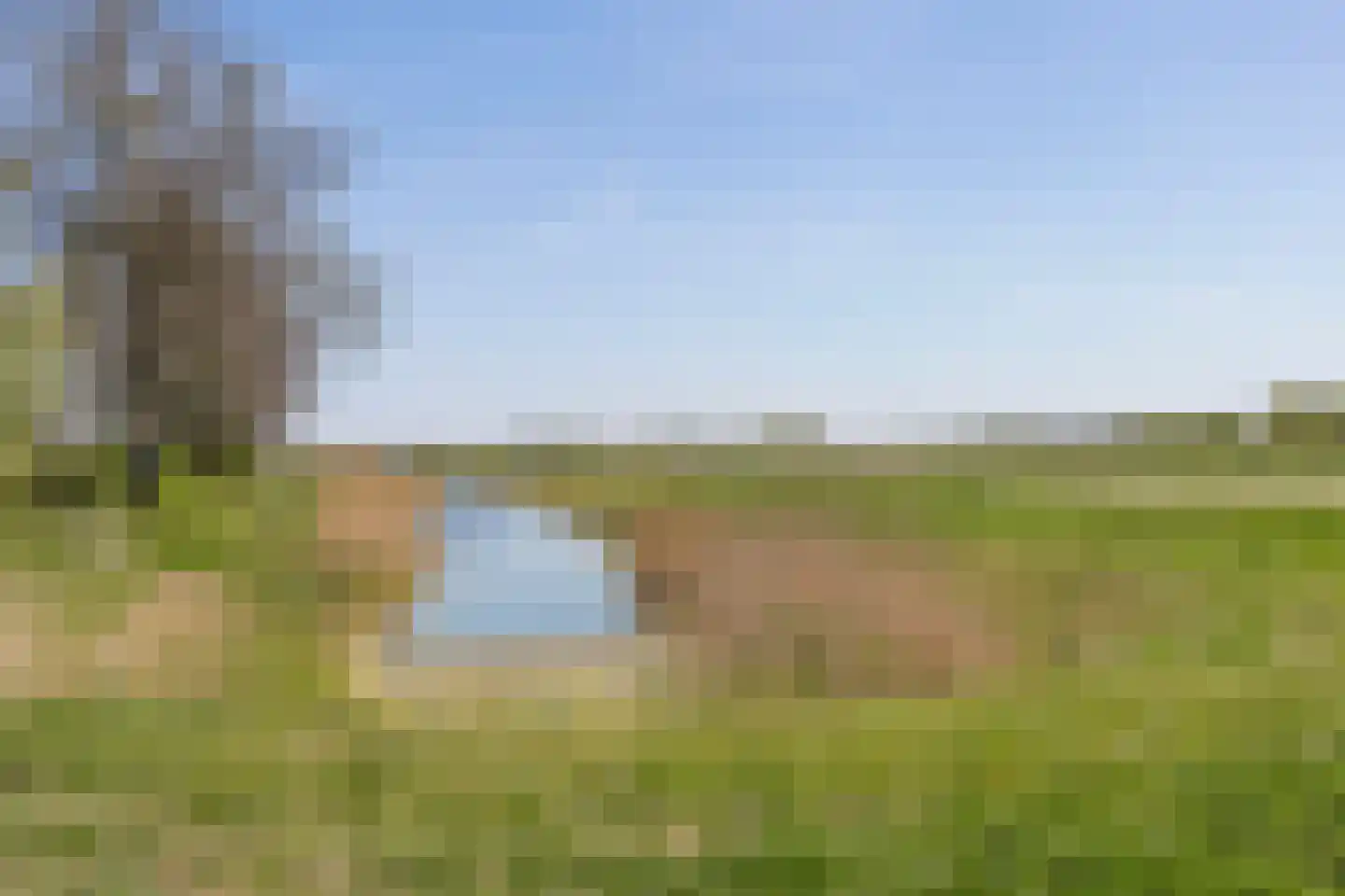 Vergezicht 10 Elst thumbnail 57