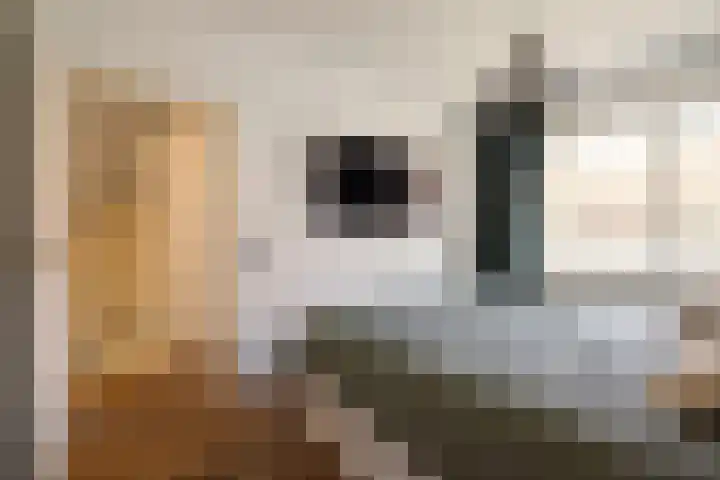 Vergierdeweg 10 Haarlem thumbnail 15