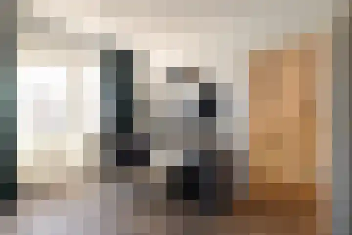 Vergierdeweg 10 Haarlem thumbnail 17