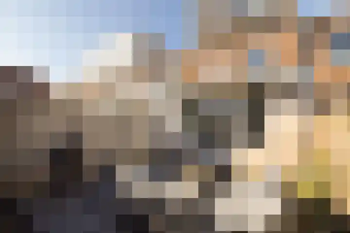 Vergierdeweg 10 Haarlem thumbnail 32