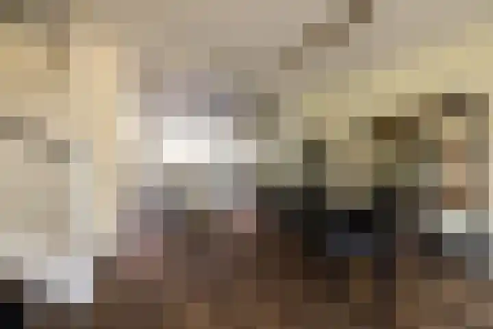 Vergierdeweg 10 Haarlem thumbnail 7