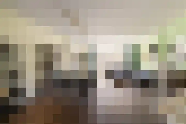 Vergierdeweg 10 Haarlem thumbnail 8