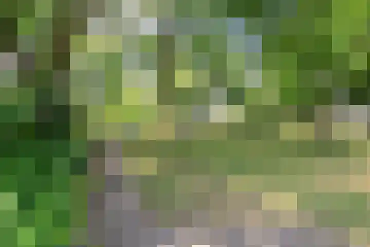 Verheijstraat 2 37 Didam thumbnail 18